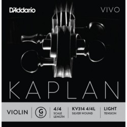 KV314 4/4L Kaplan Vivo - Sol