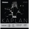 KV314 4/4L Kaplan Vivo - Sol
