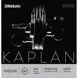 KV310 4/4L Kaplan Vivo