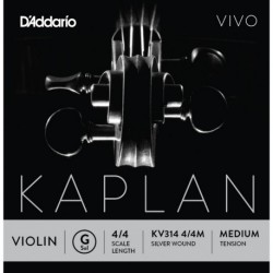 KV314 4/4M Kaplan Vivo - Sol