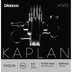 KV310 4/4M Kaplan Vivo