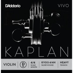KV313 4/4H Kaplan Vivo - Re