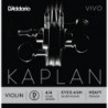KV313 4/4H Kaplan Vivo - Re