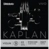 KV314 4/4H Kaplan Vivo - Sol