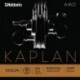 KA313 4/4L Kaplan Amo - Re