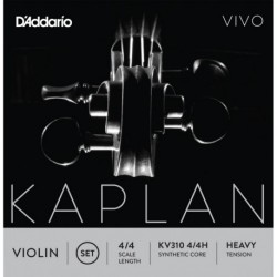 KV310 4/4H Kaplan Vivo