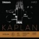 KA312 4/4L Kaplan Amo - La