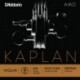KA313 4/4M Kaplan Amo - Re