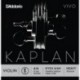 KV311 4/4H Kaplan Vivo - Mi