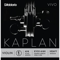 KV311 4/4H Kaplan Vivo - Mi