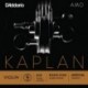 KA314 4/4M Kaplan Amo - Sol