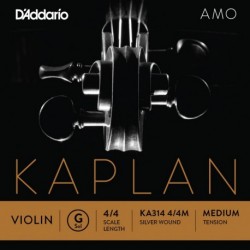 KA314 4/4M Kaplan Amo - Sol