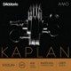 KA310 4/4L Kaplan Amo