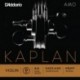 KA313 4/4H Kaplan Amo - Re