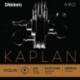 KA312 4/4M Kaplan Amo - La