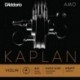 KA312 4/4H Kaplan Amo - La
