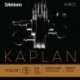 KA314 4/4H Kaplan Amo - Sol