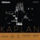 KA310 4/4M Kaplan Amo