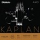 KA310 4/4H Kaplan Amo