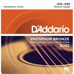 EJ42 Resophonic Guitar [16-56]
