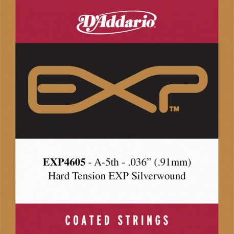 EXP4605