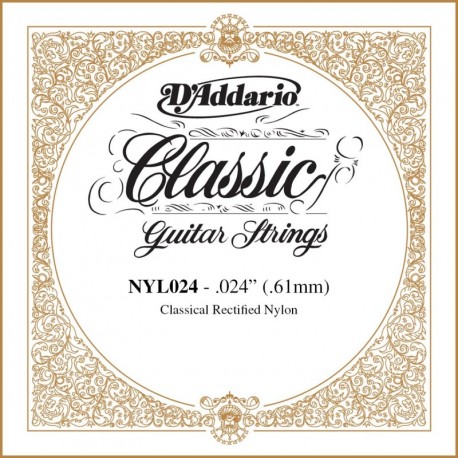 NYL024