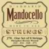 J78 Mandocello [22-74]