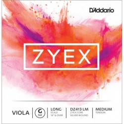 DZ413 Zyex - Sol