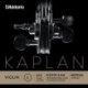 K311W Kaplan Solutions - Mi