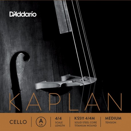 KS511 Kaplan Solutions La