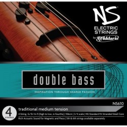 NS610