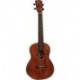 UKE-BWT