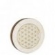 HD16WB-FOL