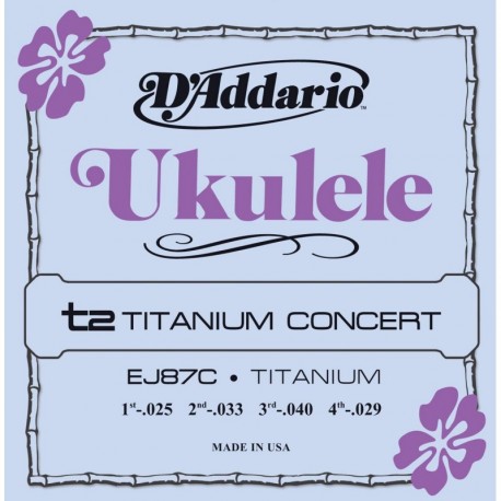 EJ87C Titanium Ukulele Concert