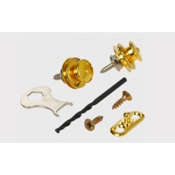 Loxx Gold Acoustic