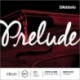 J1010 Prelude 4/4 M