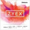 DZ410 Zyex Escala Larga M