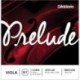J910 Prelude Escala Larga - M