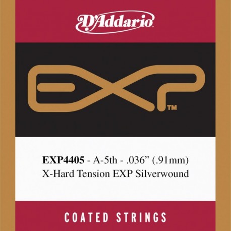 EXP4405