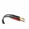 DHX155LU5